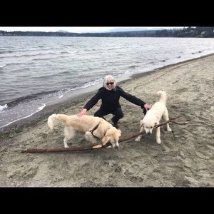 Meet your Posher, Beverley